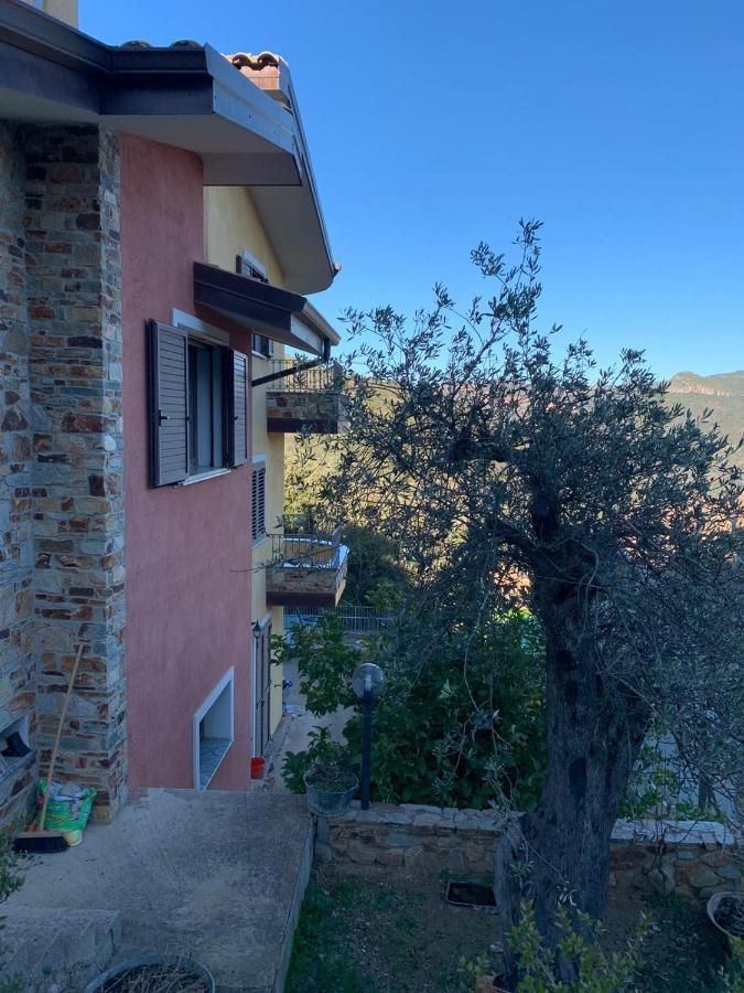 Bed and Breakfast Il Vecchio Ulivo Sa Tanca Ussàssai Exteriér fotografie